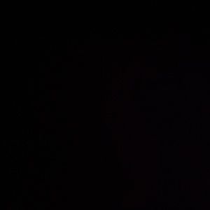 Meet your Posher, Ann